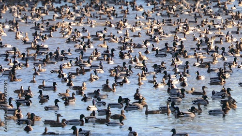 Wallpaper Mural Anatre Torontodigital.ca