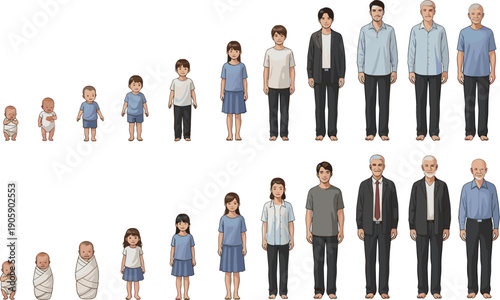 Visualizing the Human Life Cycle: A Comprehensive Illustration of Aging and Development from Infancy to Old Age, Educational Resource for Biology and Personal Growth
