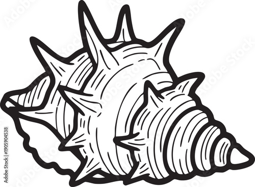 Black and white illustration of a spiky conch shell with detailed lines, isolated on transparent background