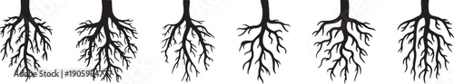 Six black tree root silhouettes on white background