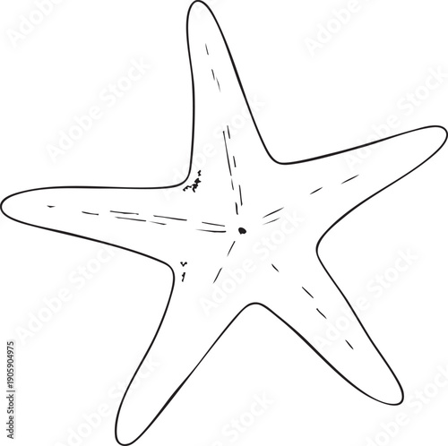 Starfish line art illustration isolated on transparent background
