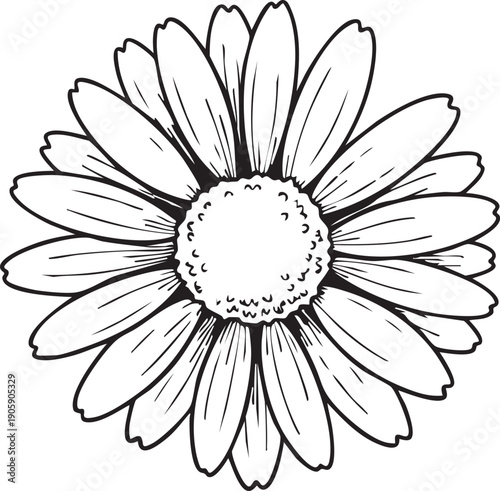 Black and white line drawing of a flower, isolated on transparent background