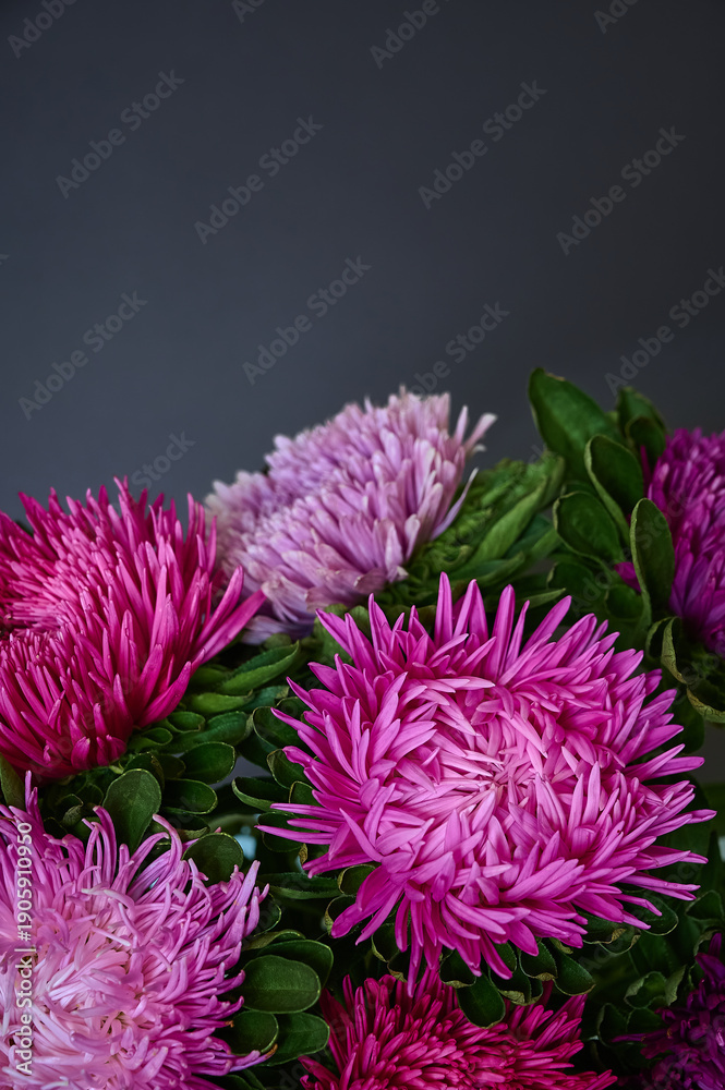 Obraz premium A bouquet of bright Aster flowers on a dark background.