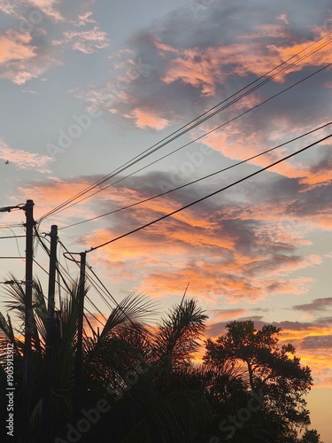 Vibrant Pink and Orange Sunset Clouds Over Palm Trees and Utility Poles