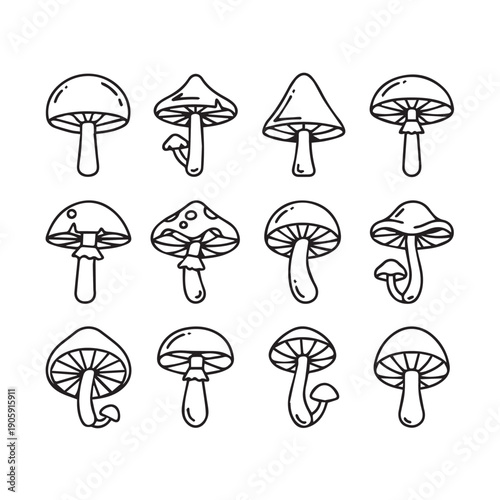 Mushroom Icons Collection: Assorted Fungi Shapes for Design and Illustration
