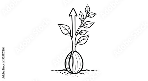 Sprouting seed illustrates upward growth and development potential in a simple line drawing.