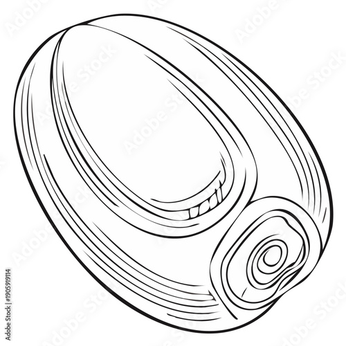 Illustration of a single coffee bean in a hand drawn line art style