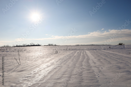 Bild auf Leinwand The dazzling winter sun floods a vast snowy field with bright light, creating a sparkling icy crust on the surface