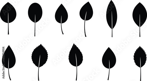 "Black silhouette illustration set of twelve leaf shapes with smooth and serrated edges for botanical, educational, and design projects"