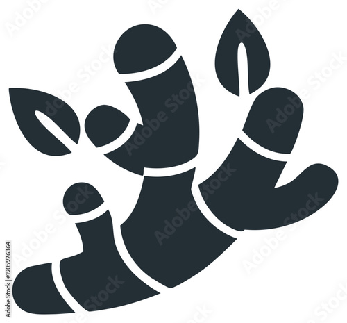 Stylized Ginger Root and Leaves Design Vector Illustration