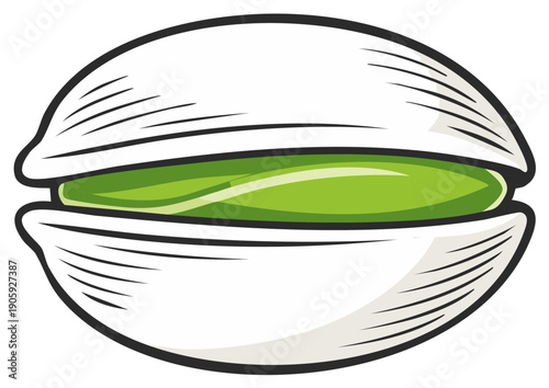 Pistachio nut illustration depicting a single shelled nut with a green kernel food item detailed drawing vector art