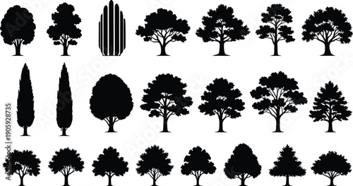 "Collection of twenty diverse showcasing unique canopy shapes, trunk structures, and natural profiles, perfect for landscape design, botanical studies, and creative illustration projects"