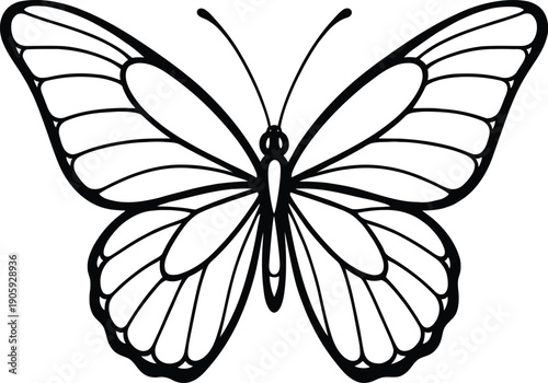 Simple black and white line of a butterfly with symmetrical wings and antennae