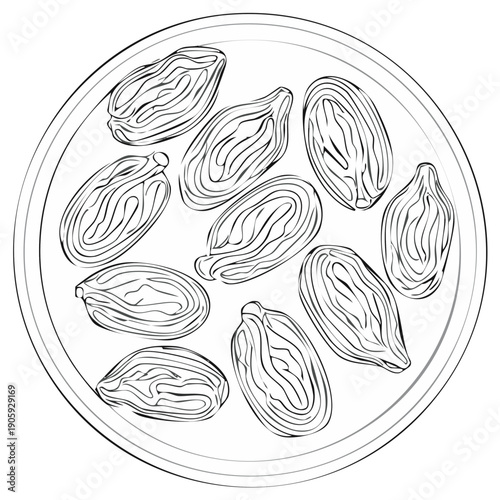 Raisins on a plate. Line drawing illustration of dried fruits.