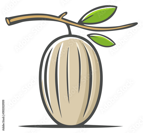 Graphic illustration of a Salak fruit hanging from a branch with a few green leaves on a white background