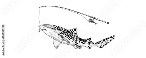 A spotted leopard shark caught on a fishing rod and line