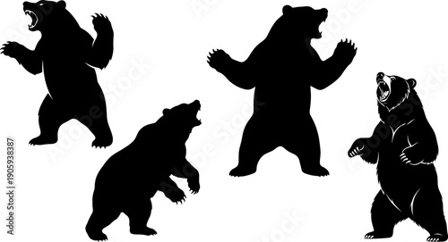 Set of Roaring Bear Silhouettes Standing on Hind Legs Isolated on White Background Black Vector Illustration