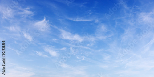 Wallpaper Mural Panoramic blue sky background, white cirrus clouds Torontodigital.ca