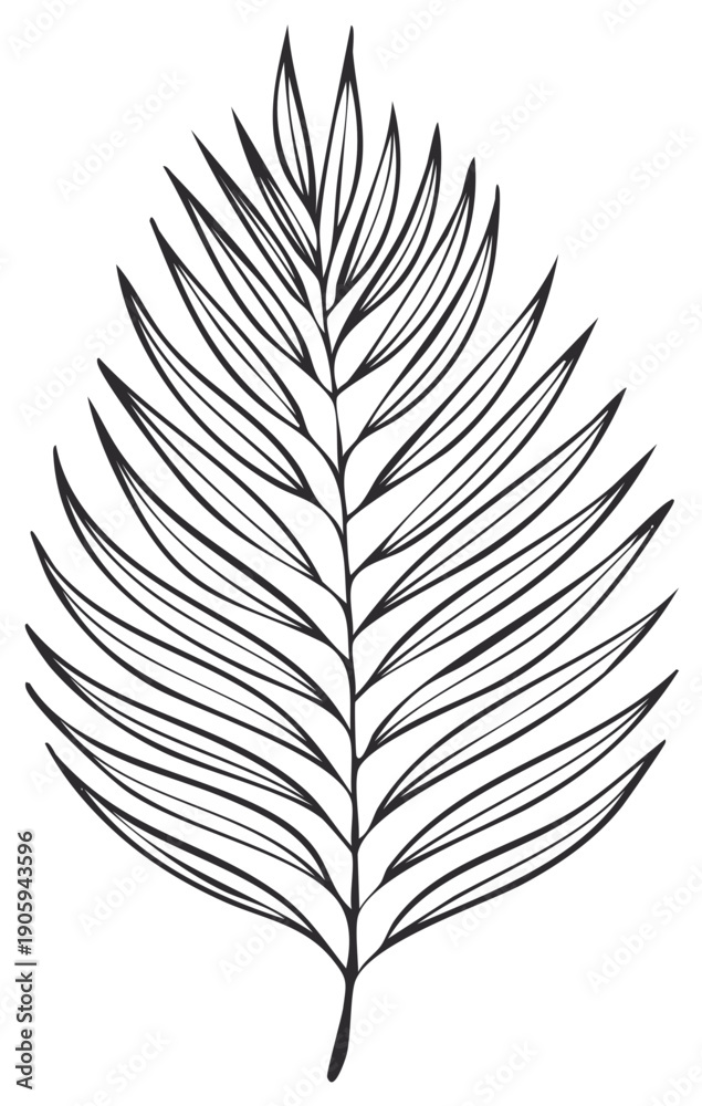 Obraz premium Exotic botanical palm leaf illustration in a minimalist outline drawing style