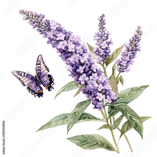 Butterfly Bush Branch, watercolor illustration featuring playful movement and lively expressions, isolated on a white background.