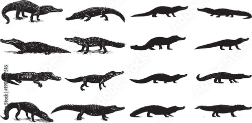 Silhouette crocodile set isolated black vector prehistoric creatures collection various species running walking crawling illustration
