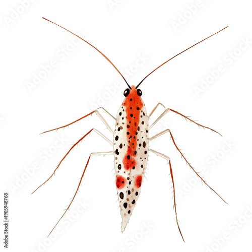 Thrips, delicate painting watercolor vector with vivid brush accents, isolated on a white background.