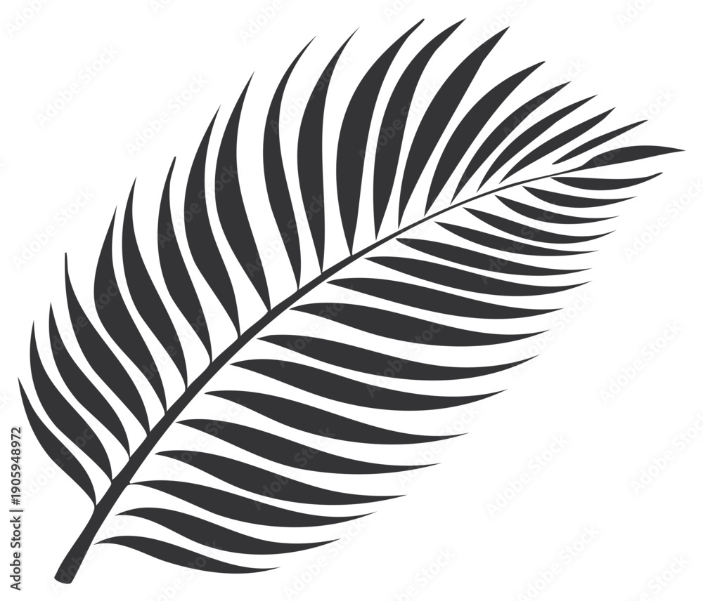 Fototapeta premium Black and white illustration of a stylized palm frond