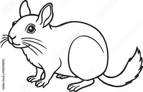 Chinchilla line art vector illustration.