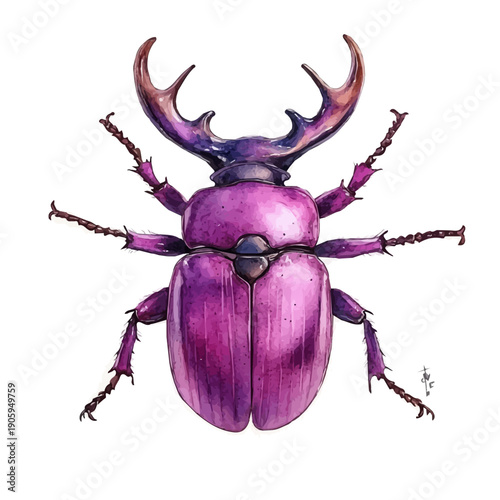 Stag Beetle, vibrant painting vector in watercolor style with playful brushwork and lively colors, isolated on a white background.