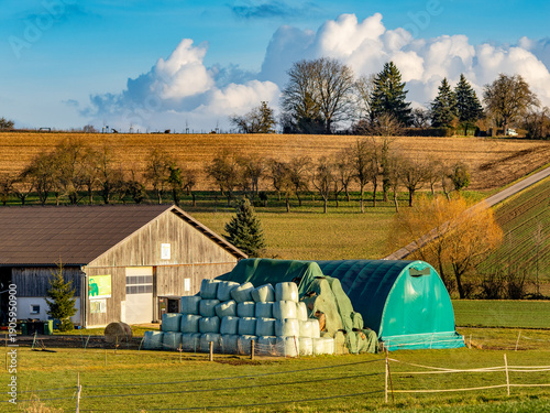 Cuadro en lienzo Silageballen lagern im Freien