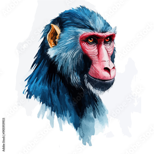 watercolor of Mandrill, hand-drawn, isolated on a white background.