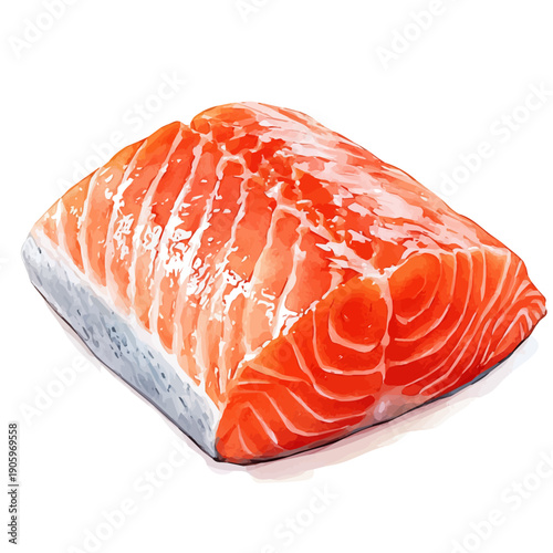 watercolor of Salmon, vector clipart, isolated on a white background.