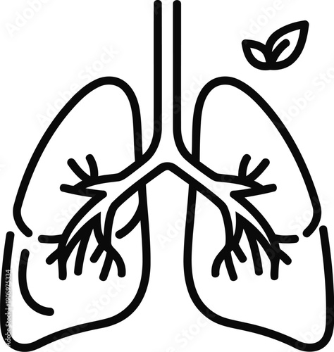Simple diagram of human lungs with a sprout growing from one bronchiole