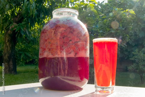 Refreshing raspberry kombucha in glass near berry jar in sunny garden outdoors