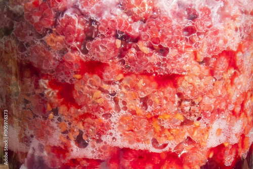 Quadro su tela Raspberry kombucha fermentation process close up, berry texture and gas bubbles