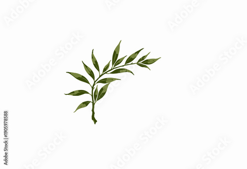 Minimalist botanical artwork featuring a single green leafy branch on a plain white background conveying a sense of nature and simplicity