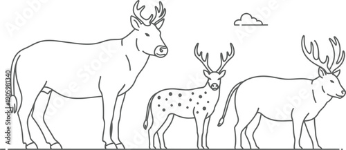 A peaceful gathering of deer in a natural habitat with varying antler sizes.