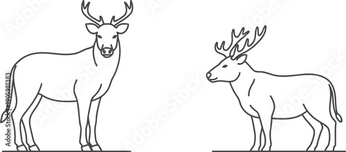 Two distinct deer standing side by side in a simple line drawing style