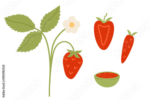 Strawberry vector set. Sweet red berries in cartoon style. Whole and cut fruits. Hand drawn flowering bush, jam, leaves isolated on white background. flat illustration. Organic healthy food, harvest