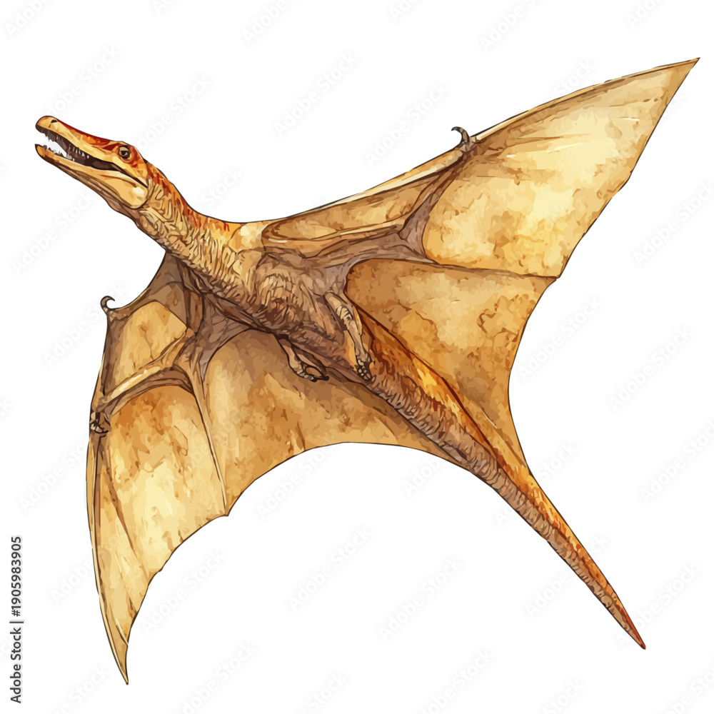Fototapeta premium Pteranodon, watercolor drawing vector, isolated on a white background.