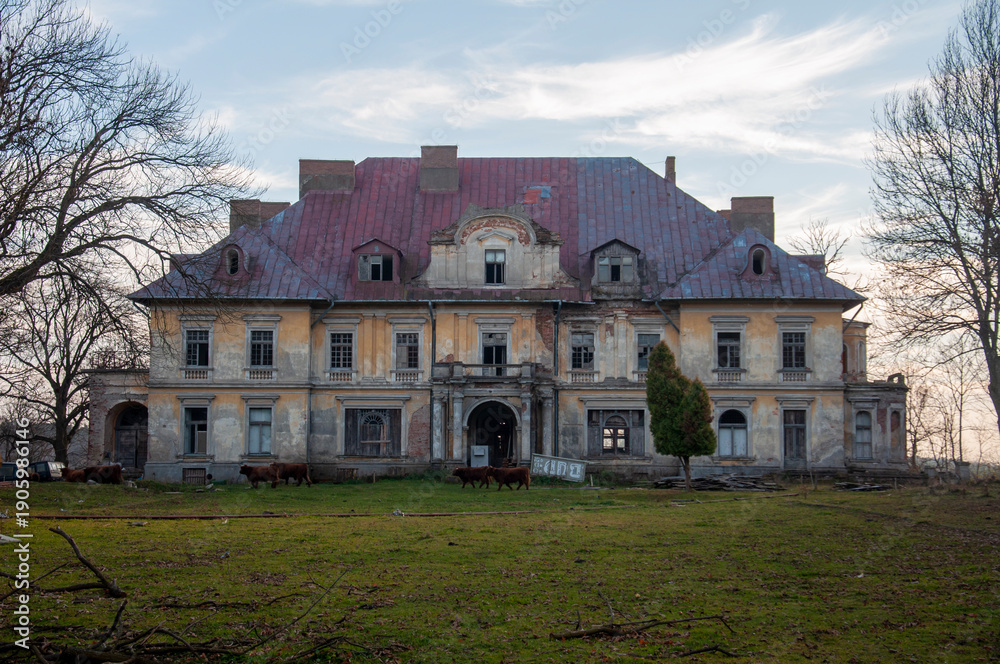 Fototapeta premium Abandoned Historic Palace in Eastern Europe