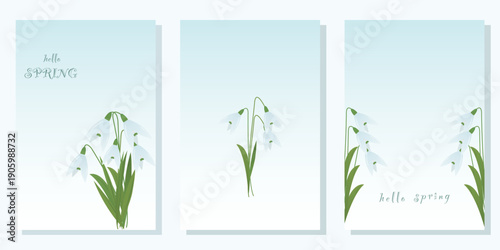 Elegant spring snowdrop flower illustrations in three vertical panels with soft blue gradient backgrounds. perfect for greeting cards, posters, seasonal banners, and decorative projects.