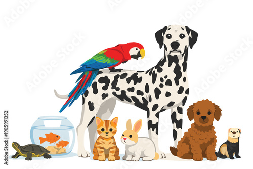 Diverse group of domestic animals and pets together on white background.