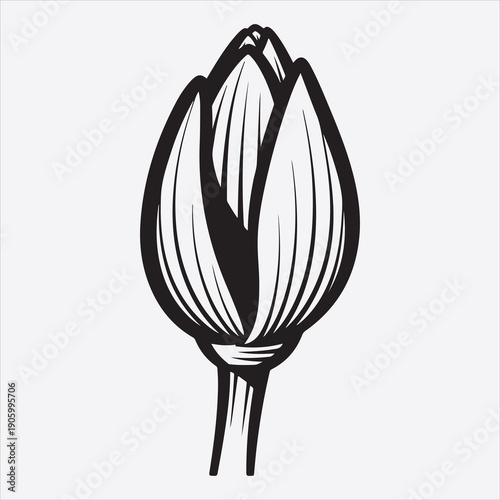 Water lili vector flower design