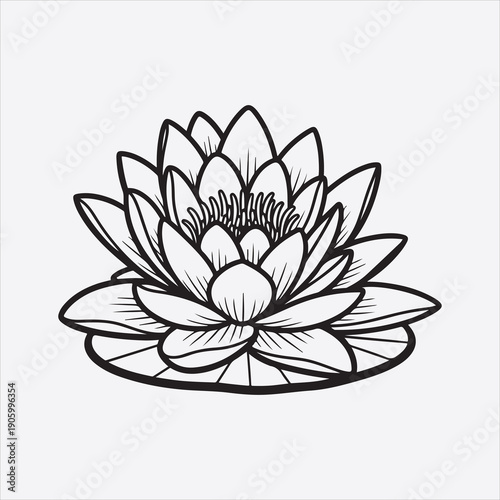 Water lili vector flower design