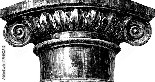 Vintage architectural column base with botanical detail - hand drawn engraving illustration