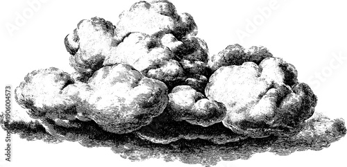 Vintage botanical engraving of cloud mass in black and white for design print