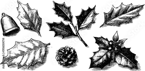 Vintage festive botanical ornament set with holly leaves and pinecone for christmas design