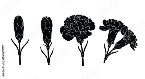 Floral arrangements of carnations in a striking black silhouette