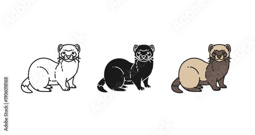 Trio of ferrets with different color patterns on white background